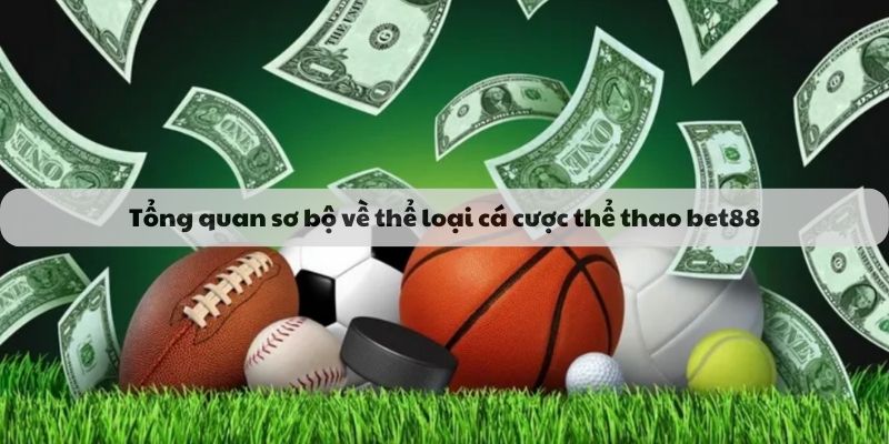 Tổng quan sơ bộ về thể loại cá cược thể thao bet88